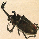 Hermet insect