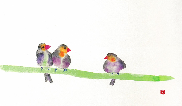 Little birds