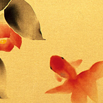 Camellia on bamboo and gold fish